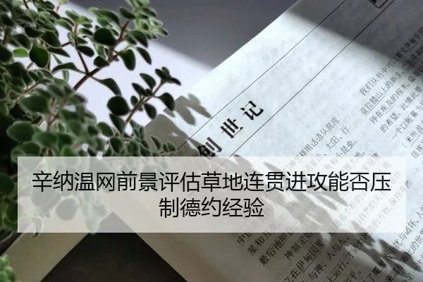 xin-na-wen-wang-qian-jing-ping-gu-cao-di-lian-guan-jin-gong-neng-fou-ya-zhi-de-yue-jing-yan-2-480.jpg