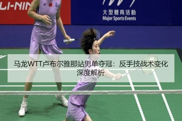 ma-long-lu-bu-er-ya-na-zhan-nan-dan-duo-guan-fan-shou-ji-zhan-shu-bian-hua-shen-du-jie-xi-3-502.jpg