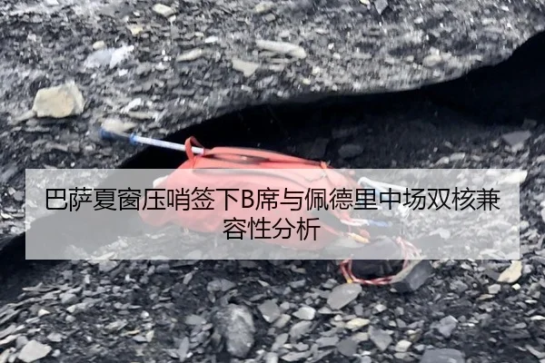 巴萨夏窗压哨签下B席与佩德里中场双核兼容性分析
