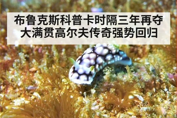 布鲁克斯科普卡时隔三年再夺大满贯高尔夫传奇强势回归